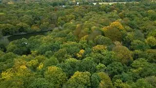 Putney Vale Cemetery