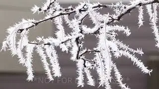 I Flew My Drone Above Freezing Fog. Here's What I Saw!