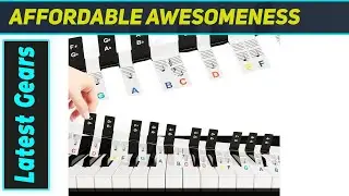 Best Removable Piano Keyboard Note Labels Guide for Beginners