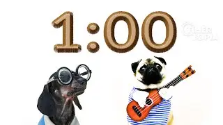 1 Minute Timer (DOG HEAVEN) 🐕