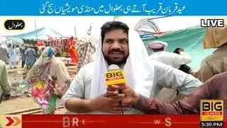 As Eid-ul-Adha approached, cattle markets were set up in Bhalwal