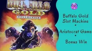 Buffalo Gold Slot Machine - Aristocrat Game - Bonus Win - Miss Kitty Slot