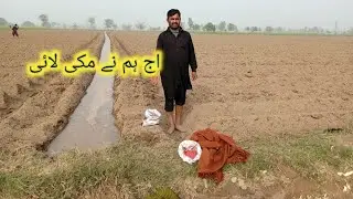 Aaj humne makkhi Lai Shahid family vlog1 