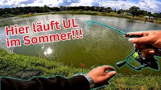 Summer trout at the Th&ouml;nse fishing park 🎣 &ndash; UL Action & Paste - UL area with ice-cold water #trout