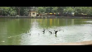 WATCH THE OFFICIAL TEASER OF PAHILE PREM | ON MAAN MARATHI