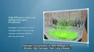 Cutting-Edge Technology: Reliable Hydrogen Separation with Platinum-Titanium Anodes