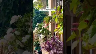 Cozy morning, surrounded by flowers.#newyear2026 #slowliving #slowlivingvlog #peacefulvibes #calming