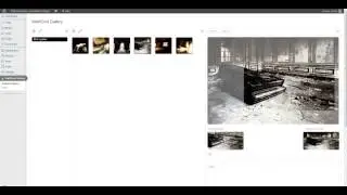 Wall/Grid Gallery (WordPress Plugin) - How do I create a new thumbnail?