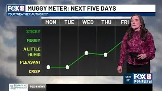 Afternoon weather update for Monday, Nov. 3