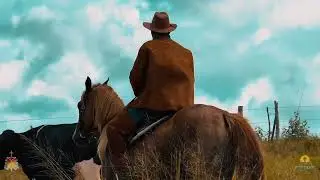 ESTÁ CHEGANDO A XI MISSA DO VAQUEIRO! 