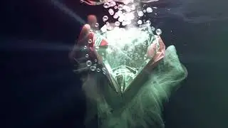 The Music King - Paper Hands Burn (HODL Through the Flames)