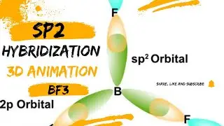 Why BF₃ Has an Empty p-Orbital! | sp&sup2; Hybridization Explained