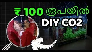 വെറും 100 രൂപക്ക് DIY CO2 | Malayalam Step by Step Tutorial For Planted Aquarium