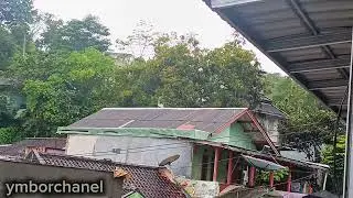 Gentle Drizzle Rain Sound in Village | Relaxing Rain Ambience for Sleep, Study & Stress Relief