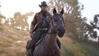 How to Raise your Horse's Stamina in Red Dead Redemption 2 (RDR 2)