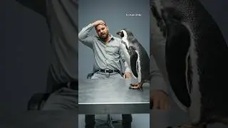 Makeme interrogate a suspicious penguin #itsmusicshibu #bollywood #funny #comedy #ai #animals #hindi