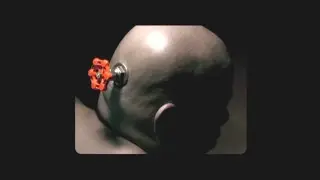 This Whole Virus Thing Is Crazy