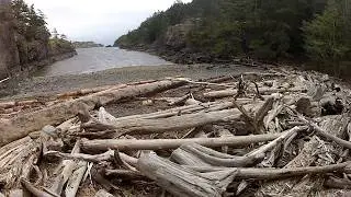 Jedediah Island Marine park pt 2
