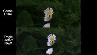 Canon EOS M Magic / Tragic Lantern RAW vs H.264 Test