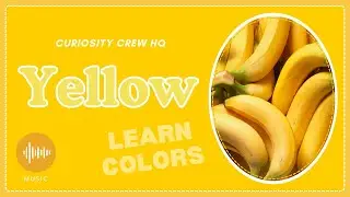 Yellow Song for Kids | Learn Colors | Vocabulary Song | Curiosity Crew HQ 🟡