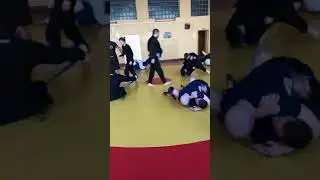 UFSF ua