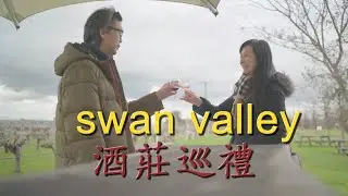Swan valley 酒莊 , Watertown brand outlet (第七集)vlog- 18 days in Perth Australi