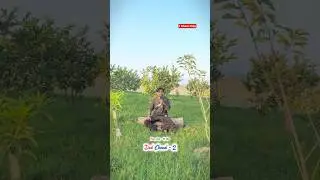 Daal Chawal - 2 Funny Song by Mr Jass #funny #punjabi #viral #comedy #singer #song #mrjass #trending