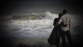 This song..!!💜🥀 || WHATSAPP STATUS || #bangalore #love #kannada #karnataka #KANNADAMUSICALLY #DBOSS