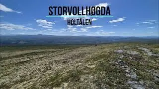 Storvollh&oslash;gda, Holt&aring;len (150)