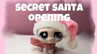 Everything is pink?! (LPS Secret santa)