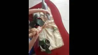 Matteo triassic revoc 2