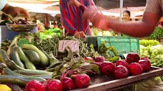 Mauritius Food Tour - Port Louis Street Food Tour - Taste Buddies