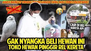 GAK NYANGKA MALAH JADI BELI HEWAN INI DI TOKO HEWAN PINGGIR REL KERETRA API! GAGAL JAJANIN HEWAN!
