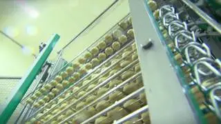 Produktion des HARZINGER in der Breitunger Käserei