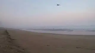 Relaxing misty beach morning sounds