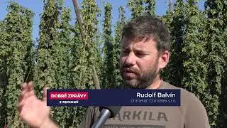 TOP HOP - Sklizeň chmele