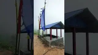 Falaicha