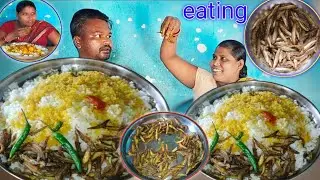 eating show | village desi small fish 🐠 fry cooking eating | desi fish fry with dal rice eating