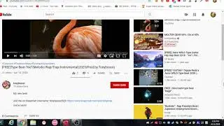 Exposing Tom (Youtube Comment Spammer)