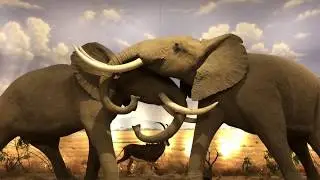 Cabelas Kansas City Adventure