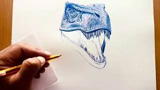 T- rex dinosaur realistic drawing | freehand ballpoint pen drawing | Timelapse drawing video