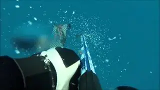 Xand&atilde;o Dive Bijupira Ubatuba