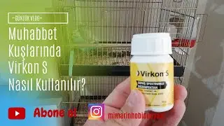 Muhabbet Kuşlarında Virkon S Dezenfektan Kullanımı