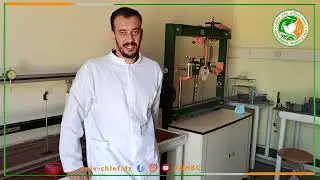 TP 5 Flexion