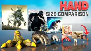 Hand Size Comparison 3D: Animal, Dinosaur, and Big Monsters