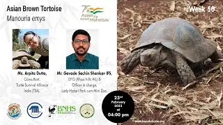 Expert Talk --  Asian Brown Tortoise - February 23, 2022