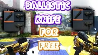*NEW* HOW TO UNLOCK ALL DLC WEAPONS FOR FREE