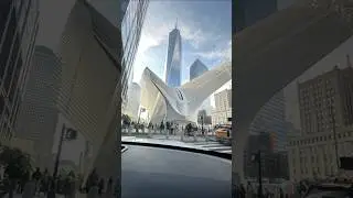 Oculus near World Trade Center #foryou #shortvideo #shorts #nyc #usa