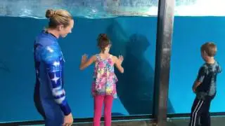 Sea world 2016 Shamu