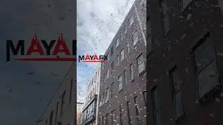 MAYA Best-Selling Integrated Confetti & Streamer Machine
